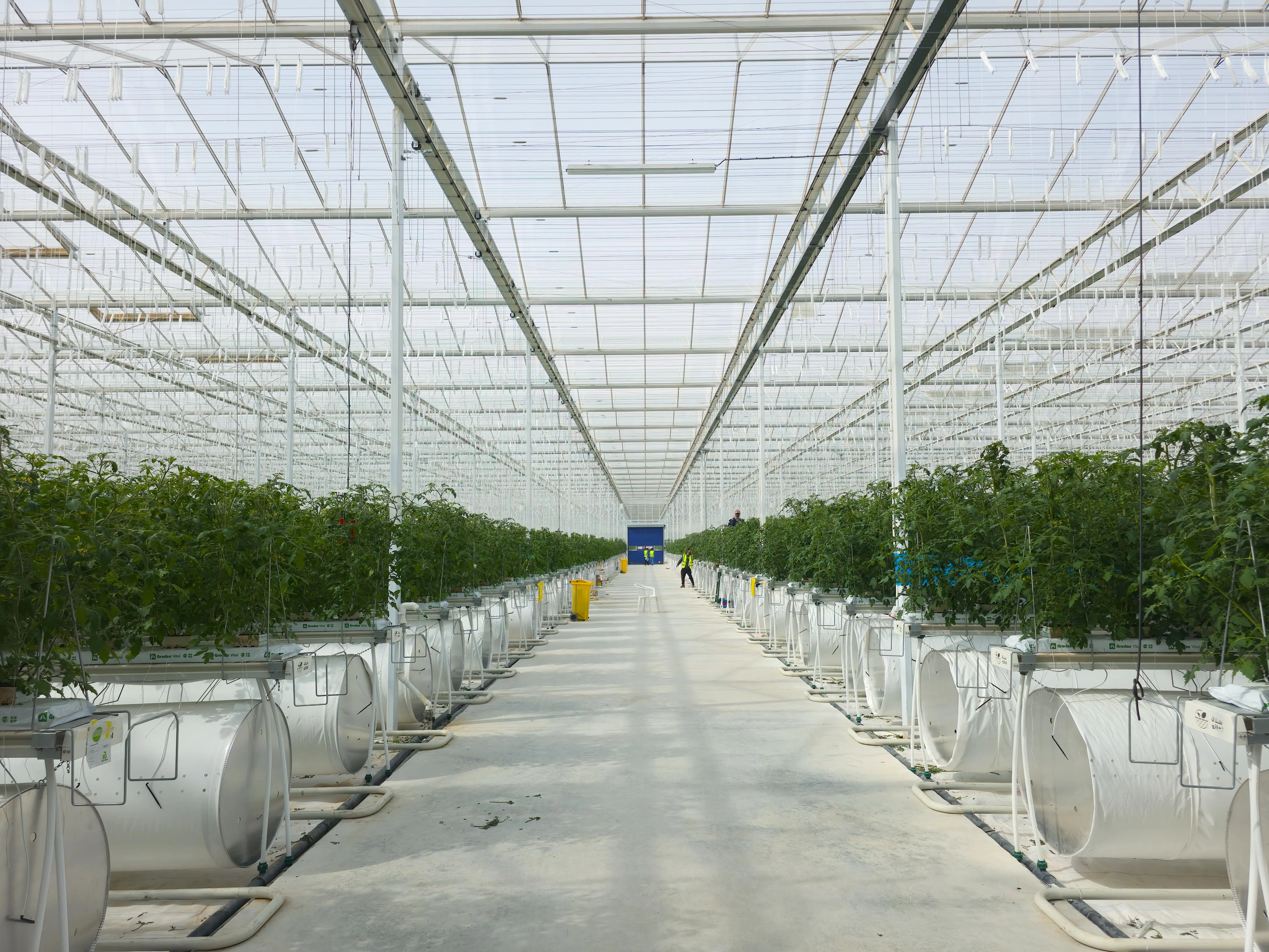 Climate-Controlled Greenhouses