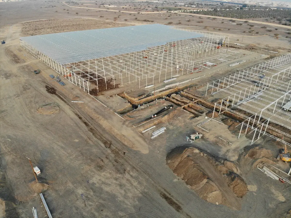 Steel Structure